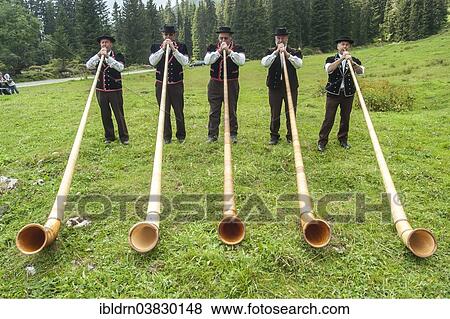 "Group of alphorn players performing on a meadow in Justistal valley, Beatenberg, Bernese Oberland, Switzerland, Europe" View Large Photo Image Stock Photo - "Group of alphorn players performing on a meadow in Justistal valley, Beatenberg, Bernese Oberland, Switzerland, Europe". Fotosearch