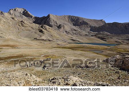 Stock Photo - "Group of hikers at Hastakoca Lake, Yedigoller Plateau, Aladaglar National Park, High or Anti-Taurus Mountains, Turkey, Asia". Fotosearch