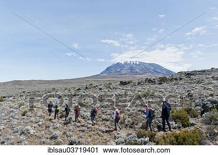 "Group of hikers on a path at the Kibo Saddle, Marangu route, Kilimandscharo National Park, Tanzania, Africa" View Large Photo Image Stock Image - "Group of hikers on a path at the Kibo Saddle, Marangu route, Kilimandscharo National Park, Tanzania, Africa". Fotosearch