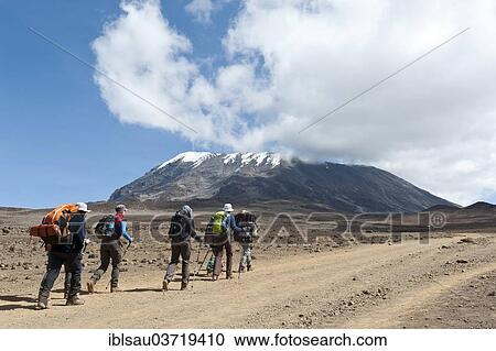 "Group of hikers on a path at the Kibo saddle, Marangu route, Kilimandscharo National Park, Tanzania, Africa" View Large Photo Image Stock Image - "Group of hikers on a path at the Kibo saddle, Marangu route, Kilimandscharo National Park, Tanzania, Africa". Fotosearch