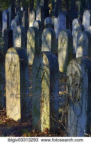 Stock Image - "Group of old grave stones with Stars of David, Old Jewish cemetery, Zentralfriedhof central cemetary, Simmering, Vienna, Vienna State, Austria, Europe". Fotosearch