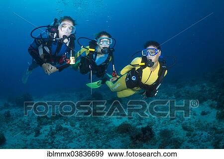 "Group of scuba divers in a coral reef, Pacific, Queensland, Australia, Oceania" View Large Photo Image Stock Photo - "Group of scuba divers in a coral reef, Pacific, Queensland, Australia, Oceania". Fotosearch