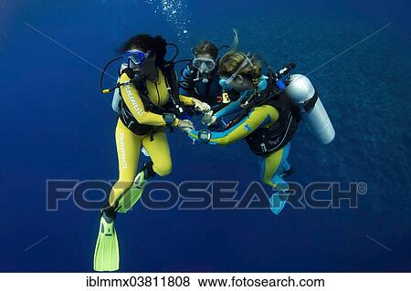 "Group of scuba divers with colourful diving suits in the open water, Palawan, Philippines, Asia" View Large Photo Image Stock Photo - "Group of scuba divers with colourful diving suits in the open water, Palawan, Philippines, Asia". Fotosearch