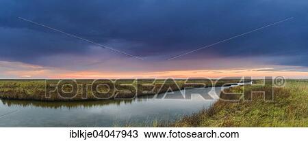 Stock Image - "Groynes, Behrensch, Spieka-Neufeld, Spieka, North Woods, Lower Saxony, Germany, Europe". Fotosearch