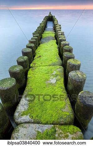 "Groynes on the Baltic coast at sunset, Mecklenburg-Western Pomerania, Zingst, Fischland-Darss-Zingst, Germany, Europe" View Large Photo Image Stock Image - "Groynes on the Baltic coast at sunset, Mecklenburg-Western Pomerania, Zingst, Fischland-Darss-Zingst, Germany, Europe". Fotosearch