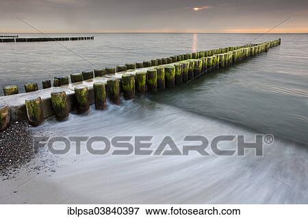 "Groynes on the Baltic coast at sunset, Mecklenburg-Western Pomerania, Zingst, Fischland-Darss-Zingst, Germany, Europe" View Large Photo Image Stock Photo - "Groynes on the Baltic coast at sunset, Mecklenburg-Western Pomerania, Zingst, Fischland-Darss-Zingst, Germany, Europe". Fotosearch