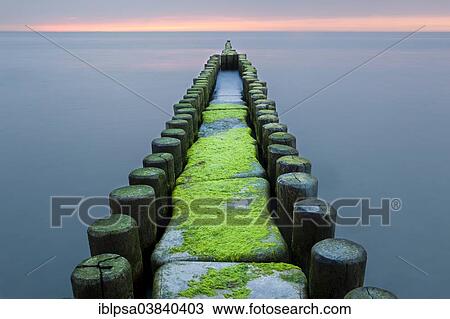 "Groynes on the Baltic coast, sunset, Mecklenburg-Western Pomerania, Zingst, Fischland-Darss-Zingst, Germany, Europe" View Large Photo Image Stock Image - "Groynes on the Baltic coast, sunset, Mecklenburg-Western Pomerania, Zingst, Fischland-Darss-Zingst, Germany, Europe". Fotosearch