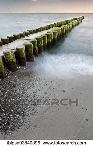 "Groynes on the Baltic Coast, Zingst, Fischland-Darss-Zingst, Mecklenburg-West Pomerania, Germany, Europe" View Large Photo Image Stock Photograph - "Groynes on the Baltic Coast, Zingst, Fischland-Darss-Zingst, Mecklenburg-West Pomerania, Germany, Europe". Fotosearch