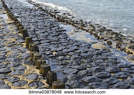 "Groynes on the western embankment, Wangerooge, East Frisian Islands, East Frisia, Lower Saxony, Germany, Europe" View Large Photo Image Stock Photo - "Groynes on the western embankment, Wangerooge, East Frisian Islands, East Frisia, Lower Saxony, Germany, Europe". Fotosearch