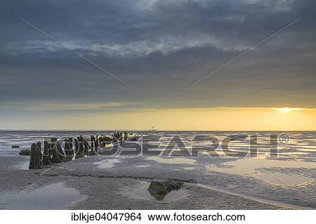 "Groynes, tidal flats, Wremer Tief, Wremen, Lower Saxony, Germany, Europe" View Large Photo Image Picture - "Groynes, tidal flats, Wremer Tief, Wremen, Lower Saxony, Germany, Europe". Fotosearch