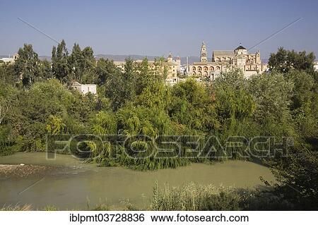 "Guadalquivir river in front of the Mosque–Cathedral of Cordoba, Mezquita or Great Mosque of Cordoba, Cordoba, Cordoba province, Andalusia, Spain, Europe" View Large Photo Image Stock Photograph - "Guadalquivir river in front of the Mosque–Cathedral of Cordoba, Mezquita or Great Mosque of Cordoba, Cordoba, Cordoba province, Andalusia, Spain, Europe". Fotosearch