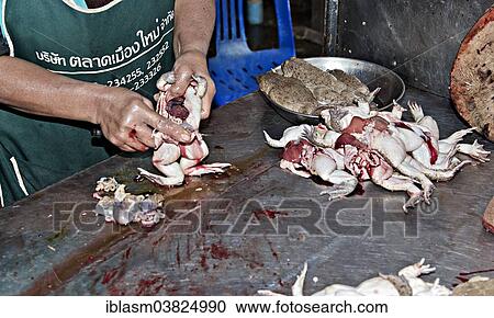 Stock Image - "Gutting toads at the market, Chiang Mai, Chiang Mai Province, Thailand, Asia". Fotosearch