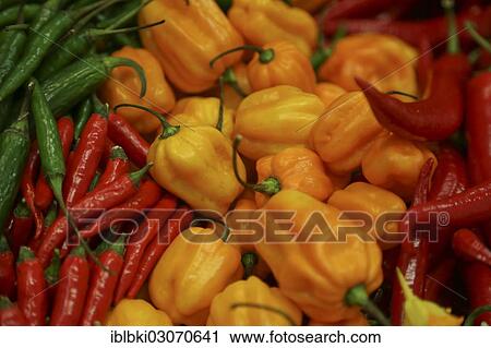 "Habanero and others chillies at a stand at Fruit Logistica, Berlin, Berlin, Berlin, Germany, Europe" View Large Photo Image Stock Image - "Habanero and others chillies at a stand at Fruit Logistica, Berlin, Berlin, Berlin, Germany, Europe". Fotosearch