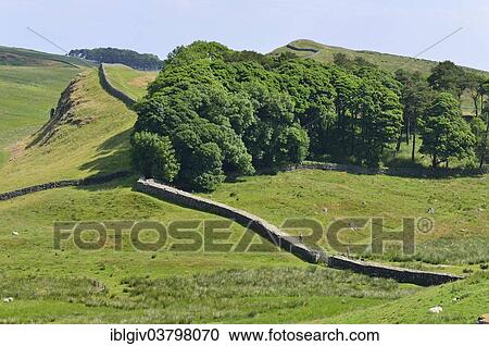 "Hadrian's Wall meandering through the landscape, Housesteads Roman Fort, Haydon Bridge, Hexham, Northumberland, England, United Kingdom, Europe" View Large Photo Image Stock Image - "Hadrian's Wall meandering through the landscape, Housesteads Roman Fort, Haydon Bridge, Hexham, Northumberland, England, United Kingdom, Europe". Fotosearch