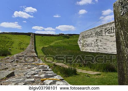 "Hadrian's Wall meandering through the landscape, Housesteads Roman Fort, Haydon Bridge, Hexham, Northumberland, England, United Kingdom, Europe" View Large Photo Image Stock Image - "Hadrian's Wall meandering through the landscape, Housesteads Roman Fort, Haydon Bridge, Hexham, Northumberland, England, United Kingdom, Europe". Fotosearch