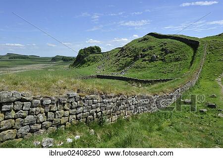 "Hadrian's Wall, Northumberland-Nationalpark, Northumberland, England, United Kingdom, Europe" View Large Photo Image Stock Image - "Hadrian's Wall, Northumberland-Nationalpark, Northumberland, England, United Kingdom, Europe". Fotosearch