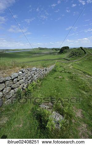 "Hadrian's Wall, Northumberland-Nationalpark, England, United Kingdom, Europe" View Large Photo Image Stock Image - "Hadrian's Wall, Northumberland-Nationalpark, England, United Kingdom, Europe". Fotosearch