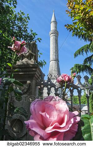 "Hagia Sofia minaret, Istanbul, Turkey, Asia" View Large Photo Image Stock Photography - "Hagia Sofia minaret, Istanbul, Turkey, Asia". Fotosearch