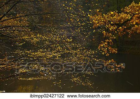"Hainpark, Bamberg, Upper Franconia, Bavaria, Germany, Europe" View Large Photo Image Stock Image - "Hainpark, Bamberg, Upper Franconia, Bavaria, Germany, Europe". Fotosearch