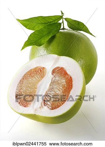 "Half and whole pomelo, with leaves" View Large Photo Image Stock Photography - "Half and whole pomelo, with leaves". Fotosearch