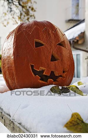 "Halloween pumpkin in the snow, Munich, Bavaria, Germany, Europe" View Large Photo Image Stock Image - "Halloween pumpkin in the snow, Munich, Bavaria, Germany, Europe". Fotosearch