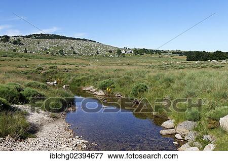Stock Photo - "Hamlet and stream near Pont de Montvert, Tarn Valley, The Causses and the Cevennes, UNESCO World Heritage, Cevennes National Park, Parc National des Cevennes, Lozere, Languedoc Roussillon, France, Europe". Fotosearch