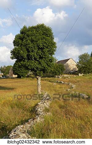 "Hamlet of Bellecoste, the Causses and the Cevennes, UNESCO World Heritage Site, Parc National des Cevennes, Cevennes National Park, UNESCO Biosphere Reserve, Mont Lozere, Le Pont-de-Montvert, Lozere, Languedoc-Roussillon, France, Europe" View Large Photo Image Stock Image - "Hamlet of Bellecoste, the Causses and the Cevennes, UNESCO World Heritage Site, Parc National des Cevennes, Cevennes National Park, UNESCO Biosphere Reserve, Mont Lozere, Le Pont-de-Montvert, Lozere, Languedoc-Roussillon, France, Europe". Fotosearch