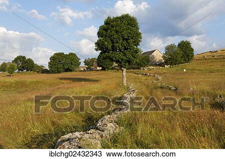 "Hamlet of Bellecoste, the Causses and the Cevennes, UNESCO World Heritage Site, Parc National des Cevennes, Cevennes National Park, UNESCO Biosphere Reserve, Mont Lozere, Le Pont-de-Montvert, Lozere, Languedoc-Roussillon, France, Europe" View Large Photo Image Stock Image - "Hamlet of Bellecoste, the Causses and the Cevennes, UNESCO World Heritage Site, Parc National des Cevennes, Cevennes National Park, UNESCO Biosphere Reserve, Mont Lozere, Le Pont-de-Montvert, Lozere, Languedoc-Roussillon, France, Europe". Fotosearch