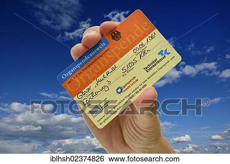 "Hand holding an organ donor card, fake name, against a blue sky with some clouds, symbolic image for bearer of hope, organ donation" View Large Photo Image Stock Photograph - "Hand holding an organ donor card, fake name, against a blue sky with some clouds, symbolic image for bearer of hope, organ donation". Fotosearch