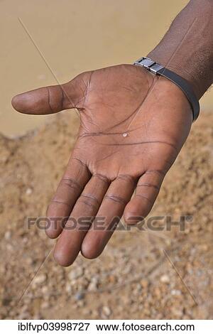 "Hand of a diamond hunter displaying a diamond, near Koidu, Koidu-Sefadu, Kono District, Eastern Province, Sierra Leone, Africa" View Large Photo Image Stock Photo - "Hand of a diamond hunter displaying a diamond, near Koidu, Koidu-Sefadu, Kono District, Eastern Province, Sierra Leone, Africa". Fotosearch