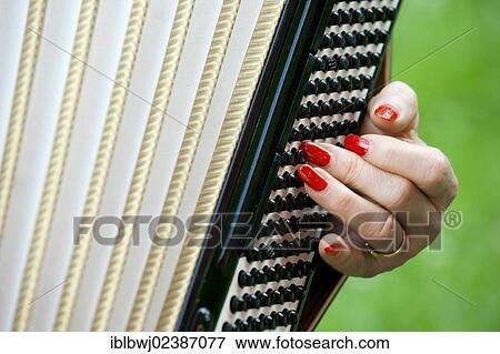 "Hand of a female accordion player, red fingernails on the bass register" View Large Photo Image Stock Photo - "Hand of a female accordion player, red fingernails on the bass register". Fotosearch