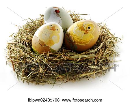 Stock Photo - Hand-painted Easter eggs with chicken design. Fotosearch