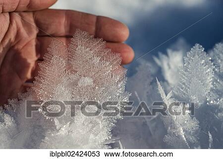 Hand touching ice crystals, Portage, Alaska View Large Photo Image Stock Image - Hand touching ice crystals, Portage, Alaska. Fotosearch