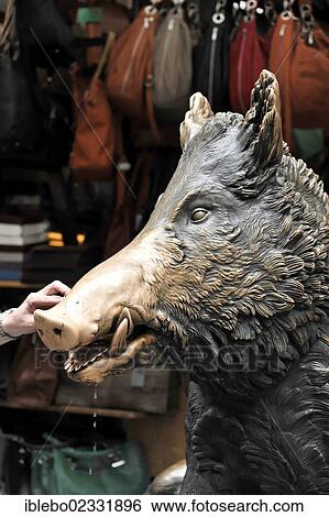Stock Photograph - "Hand touching the mouth of a bronze boar, a lucky charm, Florence, Tuscany, Italy, Europe". Fotosearch