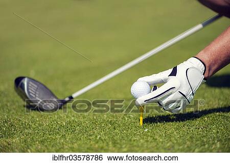 "Hand with a glove putting a golf ball on a tee, Golfclub Schloss Myllendonk, Korschenbroich, North Rhine-Westphalia, Germany, Europe" View Large Photo Image Stock Photograph - "Hand with a glove putting a golf ball on a tee, Golfclub Schloss Myllendonk, Korschenbroich, North Rhine-Westphalia, Germany, Europe". Fotosearch