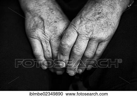 Hands of an elderly man View Large Photo Image Stock Image - Hands of an elderly man. Fotosearch