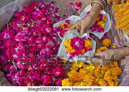 Stock Image - "Hands of an old woman selling flowers on newspapers for ritual and religious purposes, Pushkar, Rajasthan, India, Asia". Fotosearch
