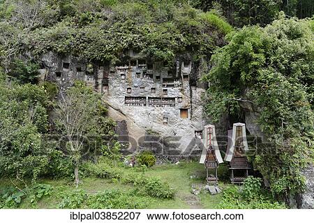 Stock Photo - "Hanging graves, rock graves, Lemo, Buntang, Sulawesi Selatan, Indonesia, Asia". Fotosearch