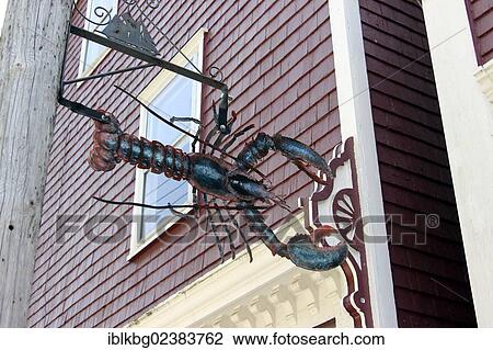 "Hanging sign depicting lobster, Montague St., Lunenburg, Eastern Shore, Maritime Provinces, Nova Scotia, Canada, North America" View Large Photo Image Stock Image - "Hanging sign depicting lobster, Montague St., Lunenburg, Eastern Shore, Maritime Provinces, Nova Scotia, Canada, North America". Fotosearch