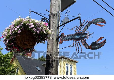 "Hanging sign depicting lobster, Montague St., Lunenburg, Eastern Shore, Maritime Provinces, Nova Scotia, Canada, North America" View Large Photo Image Stock Photo - "Hanging sign depicting lobster, Montague St., Lunenburg, Eastern Shore, Maritime Provinces, Nova Scotia, Canada, North America". Fotosearch