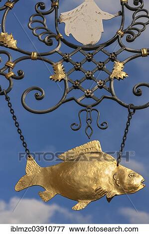 "Hanging sign, golden metal carp at an inn, Franconia, Bavaria, Germany, Europe" View Large Photo Image Stock Photo - "Hanging sign, golden metal carp at an inn, Franconia, Bavaria, Germany, Europe". Fotosearch