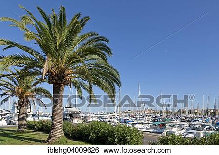 "Harbor, old town, Antibes, Cote d'Azur, France, Europe" View Large Photo Image Stock Photograph - "Harbor, old town, Antibes, Cote d'Azur, France, Europe". Fotosearch