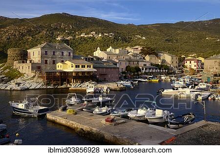 "Harbour, fishing village, Port de Centuri, Cap Corse, Corsica, France, Europe" View Large Photo Image Stock Photo - "Harbour, fishing village, Port de Centuri, Cap Corse, Corsica, France, Europe". Fotosearch