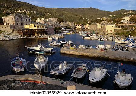 "Harbour, fishing village, Port de Centuri, Cap Corse, Corsica, France, Europe" View Large Photo Image Stock Photo - "Harbour, fishing village, Port de Centuri, Cap Corse, Corsica, France, Europe". Fotosearch