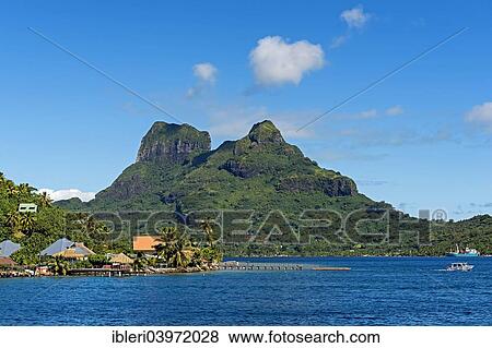 "Harbour of Faanui in front of the Mont Otemanu volcano, Faanui, Bora Bora, French Polynesia, Oceania" View Large Photo Image Stock Photo - "Harbour of Faanui in front of the Mont Otemanu volcano, Faanui, Bora Bora, French Polynesia, Oceania". Fotosearch