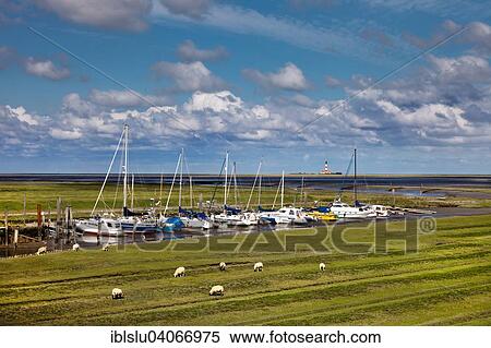 "Harbour, Tumlauer Koog, Eiderstedt peninsula, North Frisia, Schleswig-Holstein, Germany, Europe" View Large Photo Image Stock Photography - "Harbour, Tumlauer Koog, Eiderstedt peninsula, North Frisia, Schleswig-Holstein, Germany, Europe". Fotosearch
