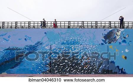 "Harbour wall with paintings of marine animals, Los Cristianos, Tenerife, Canary Islands, Spain, Europe" View Large Photo Image Stock Image - "Harbour wall with paintings of marine animals, Los Cristianos, Tenerife, Canary Islands, Spain, Europe". Fotosearch