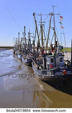Picture - "Harbour with cutters, North Sea resort of Wremen, Cuxhaven district, Lower Saxony, Germany, Europe". Fotosearch