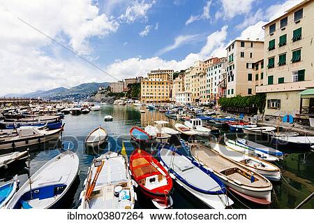 "Harbour with fishing boats, Camogli, Liguria, Riviera di Levante, Italy, Europe" View Large Photo Image Picture - "Harbour with fishing boats, Camogli, Liguria, Riviera di Levante, Italy, Europe". Fotosearch