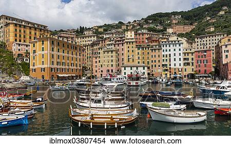 "Harbour with fishing boats, Camogli, Liguria, Riviera di Levante, Italy, Europe" View Large Photo Image Picture - "Harbour with fishing boats, Camogli, Liguria, Riviera di Levante, Italy, Europe". Fotosearch